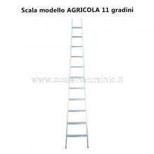 Scala per Agricoltura - 11 gradini 