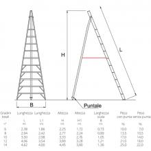Scala conica agricola 3 piedi 14 gradini con terminale a punta musure